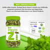 Zindagi 100% Pure Stevia Leaves Extract | Natural Stevia Dry Leaves|Sugar Substitute|35Gm|Pack Of 2