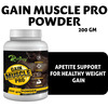Riffway Gain Muscles Pro Weight Gain Powder (1X200gm)