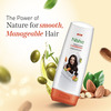 Nisha Shampoo And Conditioner Combo Pack 180ml | Almond & Olive Actives Shampoo Conditioner