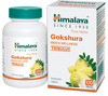 Himalaya Gokshura Men's Wellness Improves Vigour | Tribulus | Tablets | 120 No's