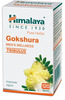 Himalaya Gokshura Men's Wellness Improves Vigour | Tribulus | Tablets | 120 No's