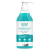 Aravi Organic 2% Salicylic Acid Body Wash With Niacinamide & Blueberry - 300Ml