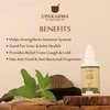 Upakarma Ayurveda Tulsi Drops Ayurvedic Herb Cough And Cold Relief- 30Ml