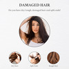 Moroccan Argan Oil Hair Shampoo (300Ml) & Conditioner (200Ml)