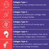 Nutrabud Multi Collagen Complex | Types I | Ii | Iii | V & X | 90 Tablets