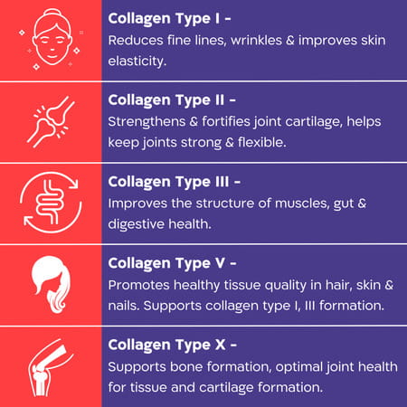 Nutrabud Multi Collagen Complex | Types I | Ii | Iii | V & X | 90 Tablets
