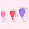 A Perfect Self-Care Combo(Sanfe Large Menstrual Cup + Intimate Wash 100 Ml)