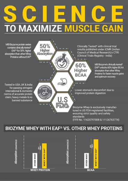 Muscleblaze Biozyme Performance Whey Protein Powder | 25G Protein Per Scoop - Triple Chocolate (2Kg)