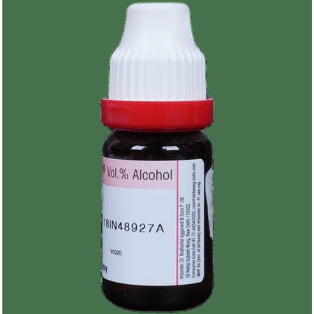 Dr. Reckeweg Berberis Vul Dilution 30 Ch 11 Ml