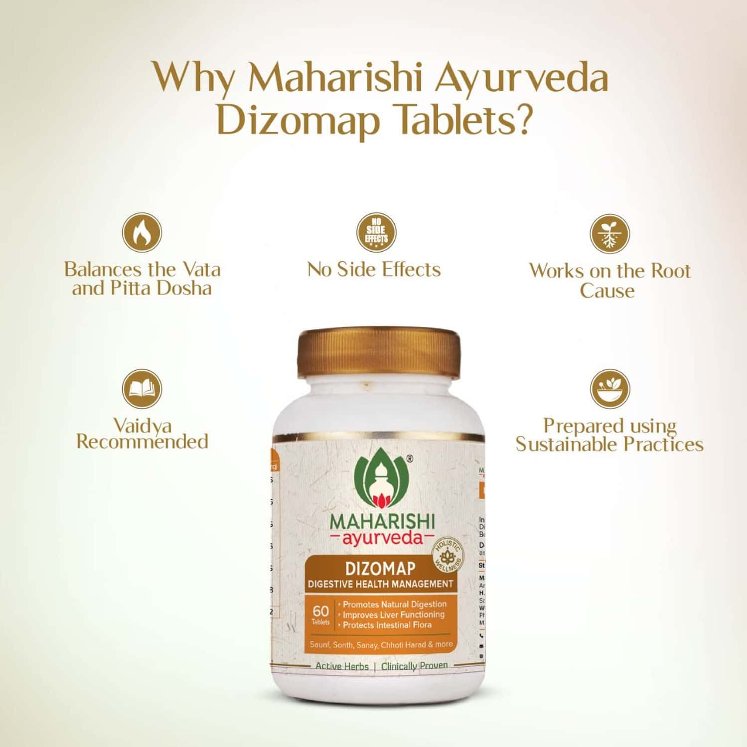 Buy MAHARISHI AYURVEDA DIZOMAP INDIGESTION & CONSTIPATION IMPROVES