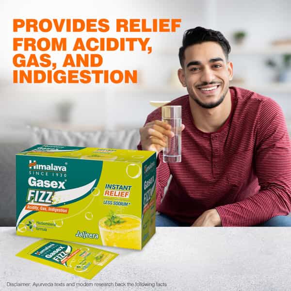 Himalaya Gasex Fizz Jaljeera 25Nx5g