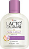 Lacto Calamine Oil Control Face Lotion | For Oily Skin | 60 Ml