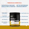 Myfitfuel Premium Bcaa Gold (10:1:1) (10 Times Leucine | Glutamine +6 More) 400G Tangy Orange