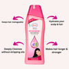 Ayur Herbals Rosemary Shampoo With Rose & Lemon I Best Suited For Dry & Dull Hair I Pack 1- 500Ml