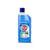 Anchor Pilot Surface Cleaner (Pine) - 500Ml