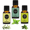 Earth N Pure Essential Oils (Eucalyptus Peppermint & Tea Tree)Pack Of 3 (15 Ml Each)More (45 Ml)