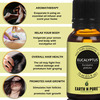 Earth N Pure Essential Oils (Eucalyptus Peppermint & Tea Tree)Pack Of 3 (15 Ml Each)More (45 Ml)