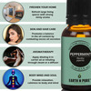 Earth N Pure Essential Oils (Eucalyptus Peppermint & Tea Tree)Pack Of 3 (15 Ml Each)More (45 Ml)
