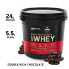 Optimum Nutrition (On) Gold Standard 100% Whey Protein Double Rich Chocolate Flavour 4Kg Powder
