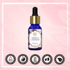 The Beauty Co. French Lavender Essential Oil - 15ml