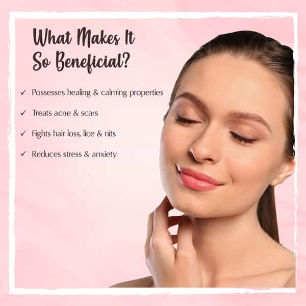 The Beauty Co. French Lavender Essential Oil - 15Ml
