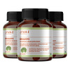 Jiva Brahmi Tablets 500Mg For Mind Wellness|Helps To Relief Stress & Anxiety - 60 Tablet (Pack Of 3)