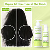 Wishcare Triple Bond Repair Booster Serum - 10% Aminopeptide Complex (100ml)