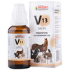 Dr Bakshi's Bakson Homoeopathy B13 Prostatitis Drops 30 Ml