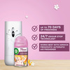 Airwick Freshmatic Automatic Room Freshener Refill Summer Delights - 250 Ml