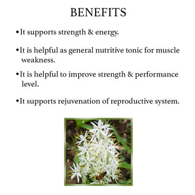 View product image 4
