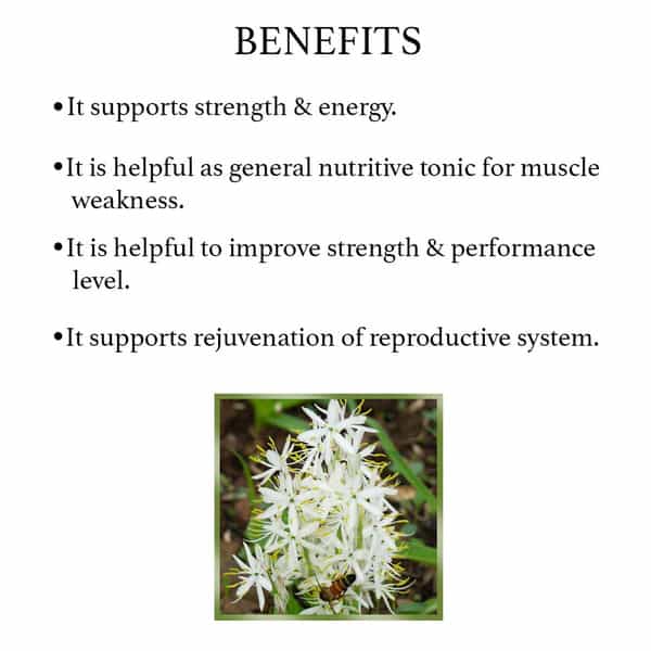 Bixa Botanical Safed Musli Extract 60 Veg Capsules (450Mg) 30% Saponin-Supports Strength & Energy