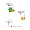 The Skin Story Moisturizing Nourishing Argan Oil Keratin Body Lotion Uv Protect All Skin Types 100ml