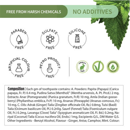 Ayouthveda Natural Whitening Toothpaste 100 Gm