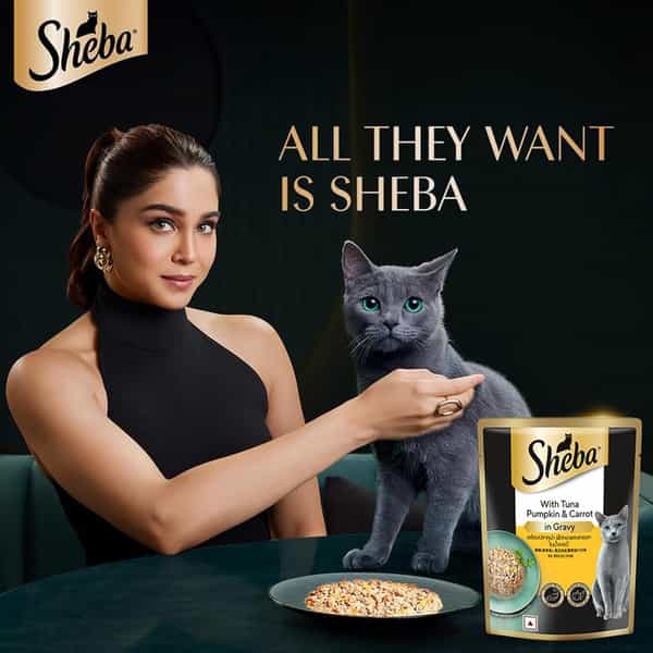 Sheba Fine Premium Adult (1+ Years) Wet Cat Food | Tuna Pumpkin & Carrot In Gravy | 28 X 70 G