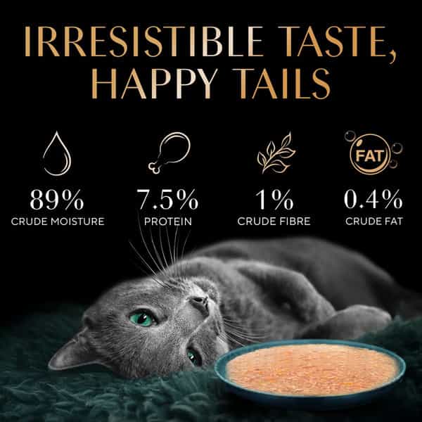 Sheba Fine Premium Adult (1+ Years) Wet Cat Food | Tuna Pumpkin & Carrot In Gravy | 28 X 70 G