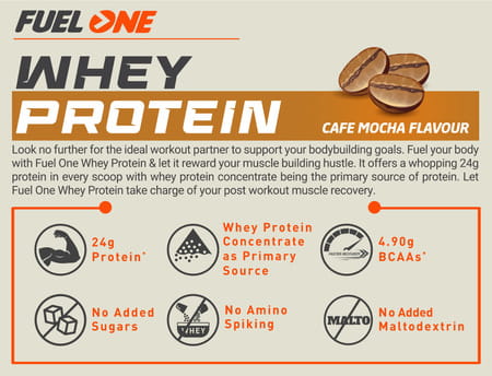 Muscleblaze Fuel One Whey Protein | 24 G Protein & 5.29 G Bcaa (Cafe Mocha | 1 Kg / 2.2 Lb)