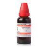 Dr. Willmar Schwabe India Aspidosperma Mt 30Ml