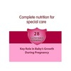 Evd Mom Protein Chocolate Maternal Nutrition Supplement Jar Of 400 G