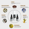 Thriveco Complete Beard Care Kit|Foaming Beard Wash Easy Absorption Growth Serum+Light Oil-In-Serum
