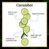 Good Vibes Toner Cucumber - 200 Ml