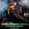 Naturyz Tribulus Terrestris 3000 Pro Gokshura | Strength | Energy & Stamina - 15 Tablets