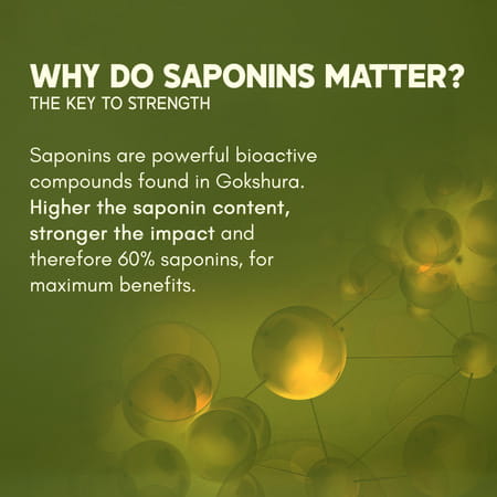 Rasayanam Gokshura 1000mg | High Saponins | Energy & Stamina Support | 60 Tablets | Pack Of 1