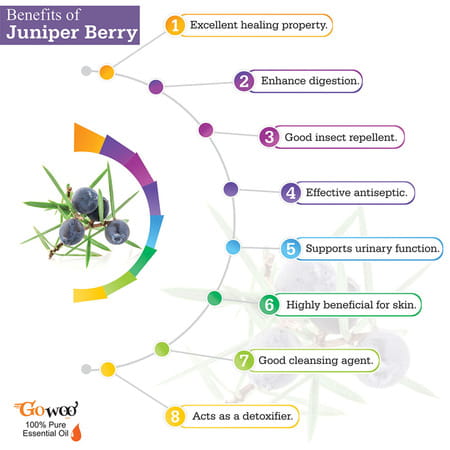 Pack Of 2 Juniper Berry Essential Oil & Black Cumin Carrier Oil - 100% Pure & Natural Oil