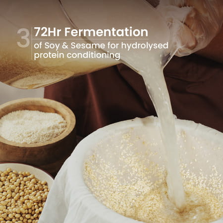 Nat Habit Natural Anti Hairfall Rosemary Shampoo For Women & Men | Sulphate & Paraben Free (250ml)