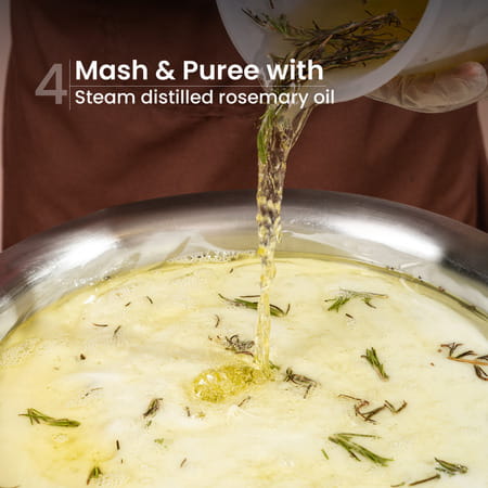 Nat Habit Natural Anti Hairfall Rosemary Shampoo For Women & Men | Sulphate & Paraben Free (250ml)