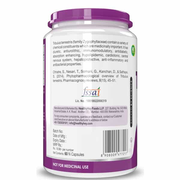 Healthyhey Nutrition Vitamin B6 Pyridoxine - 120 Veg. Capsules