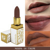 Just Herbs Herb Enriched Ayurvedic Lipstick (Taupe Shade No. 14)