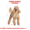 Royal Canin Poodle Adult Dog Food | 1.5 Kg | Dry Food