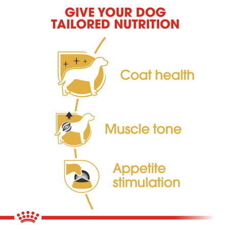 Royal Canin Poodle Adult Dog Food | 1.5 Kg | Dry Food