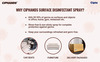Ciphands Daily Surface Disinfectant Spray (220 Ml)